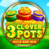 3 Clover Pots